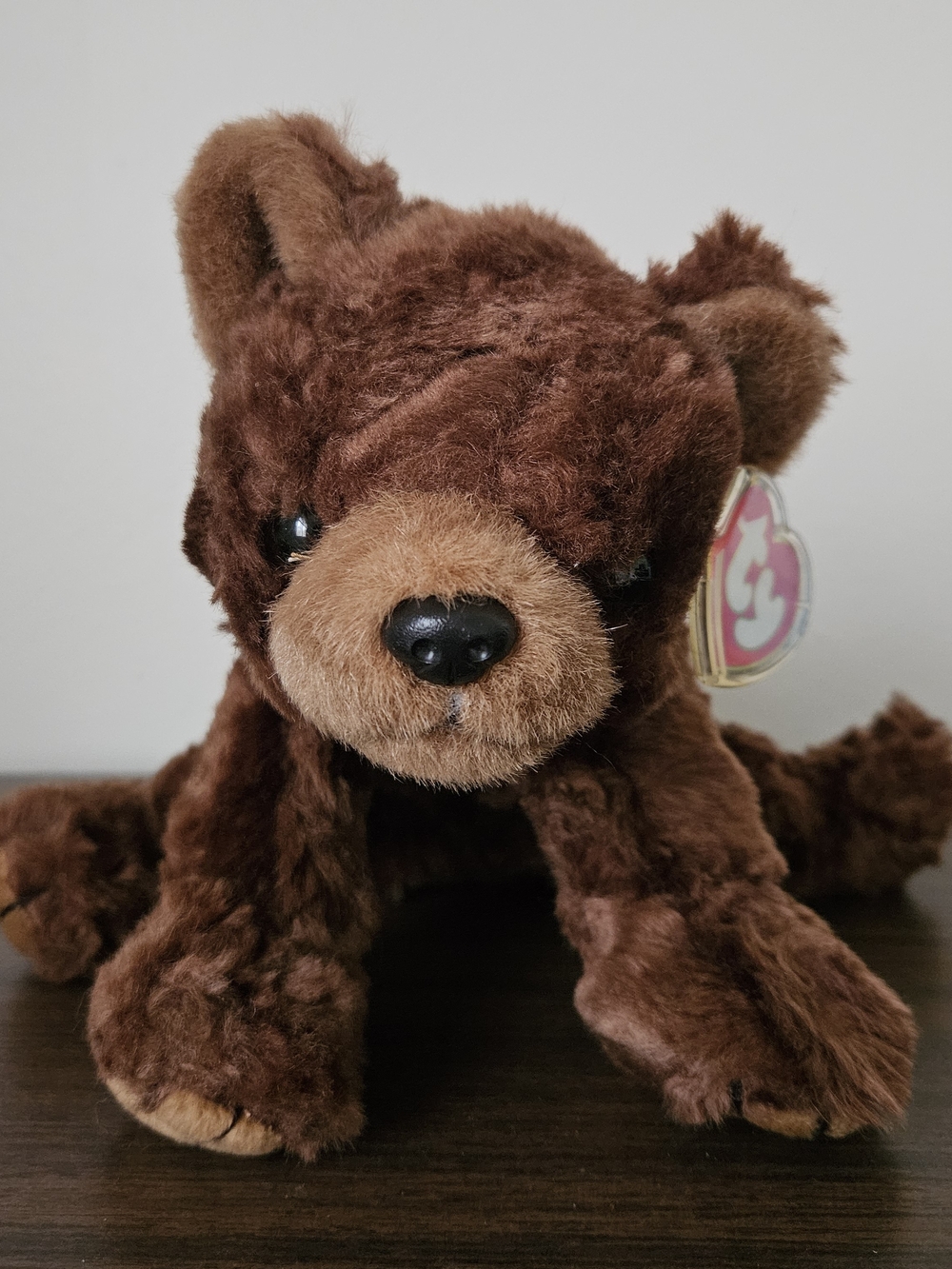 Ty Plush Brown Bear Pet Toy - Dark and Light Brown
